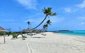 Palm Lagoon